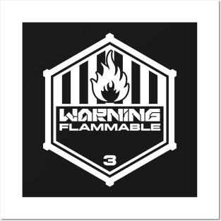 Warning: Flammable Posters and Art